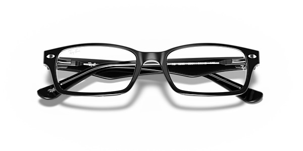 RB5206 OPTICS