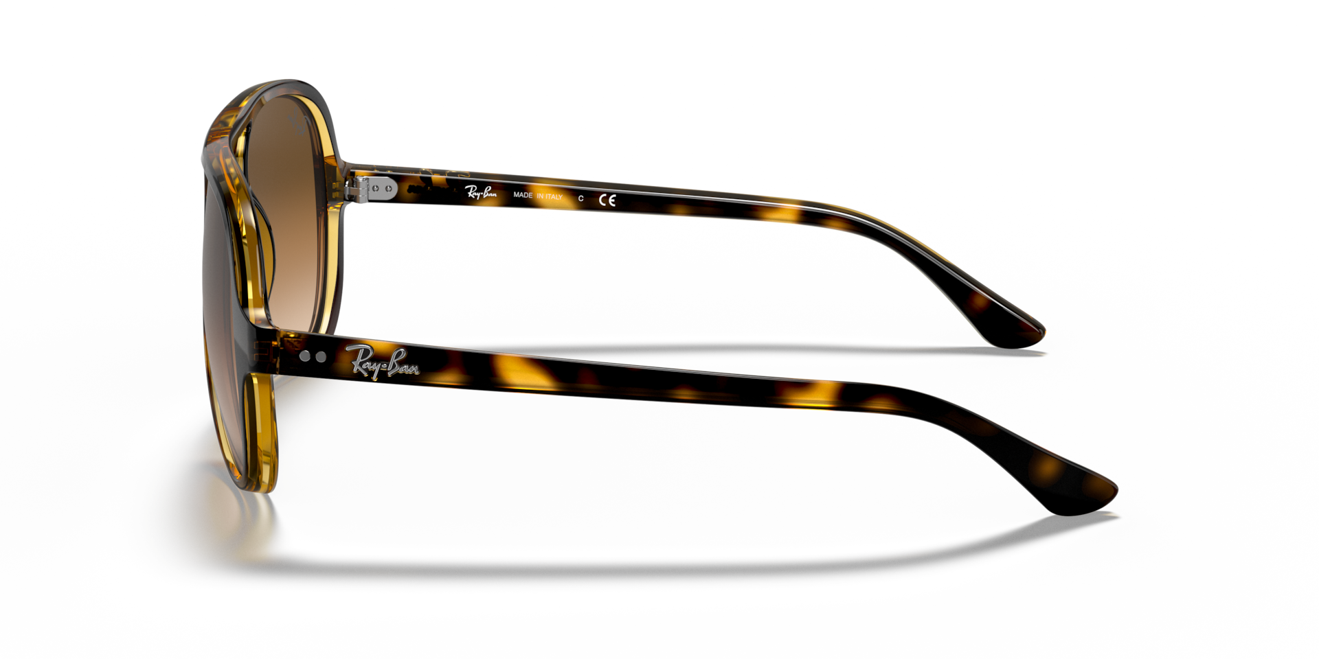 Ray-Ban RB4125 CATS 5000 CLASSIC Sunglasses | Clearly