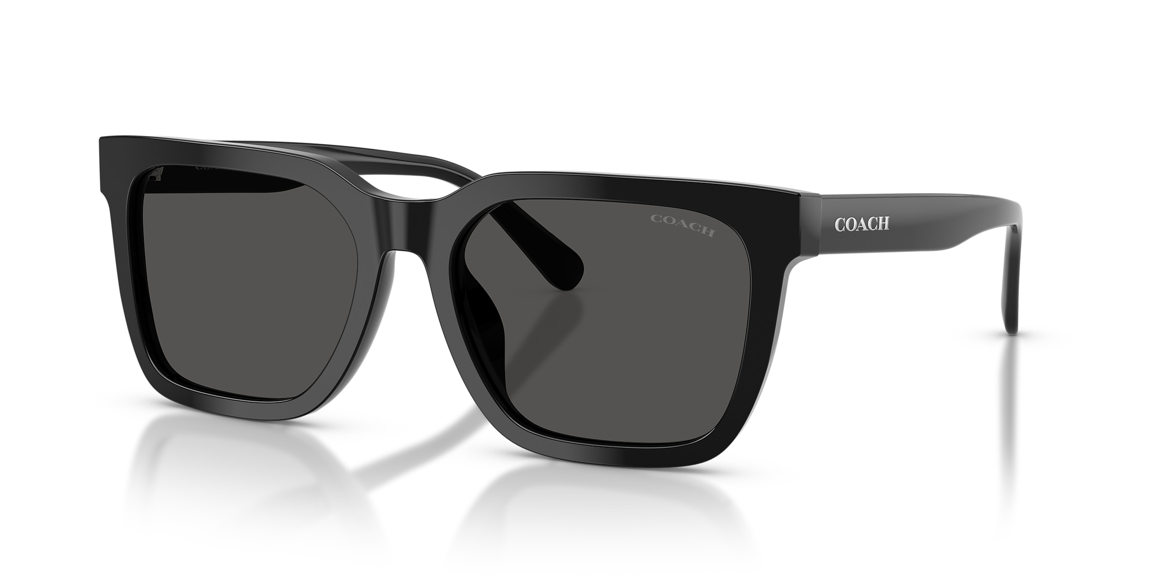 Coach Sunglasses HC8466U CFU12