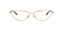 Clearly Glasses SHARP