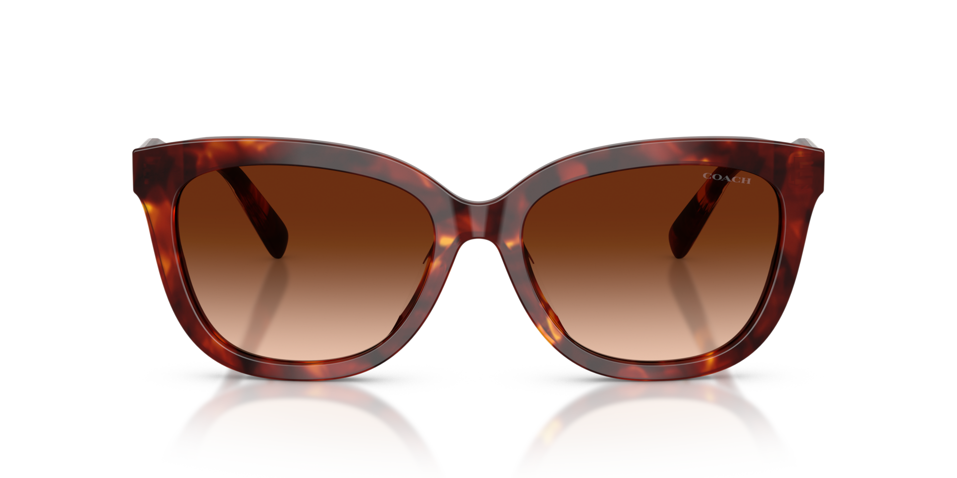 Coach HC8453U CDP53 593874 Women’s Sunglasses Tortoiseshell Size 56