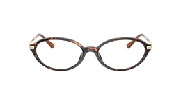 Michael Kors Glasses MK4199U KENSINGTON