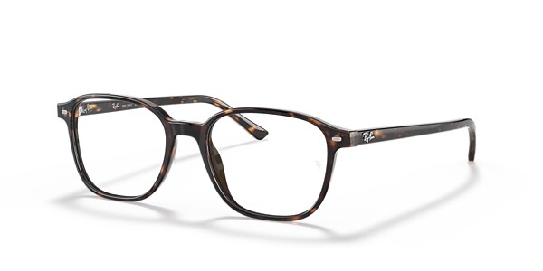 RB5393 LEONARD OPTICS