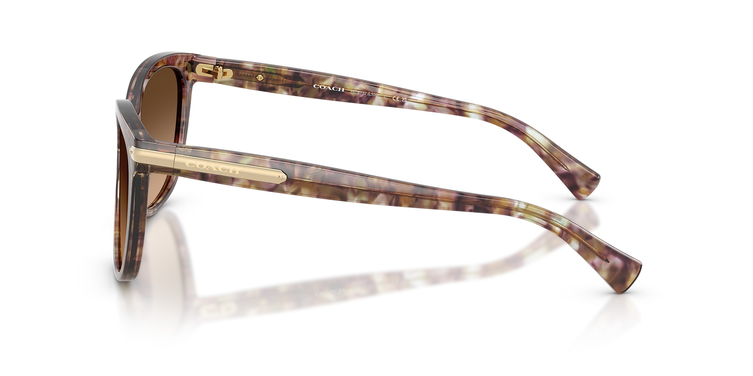 Coach Sunglasses HC8132 L109