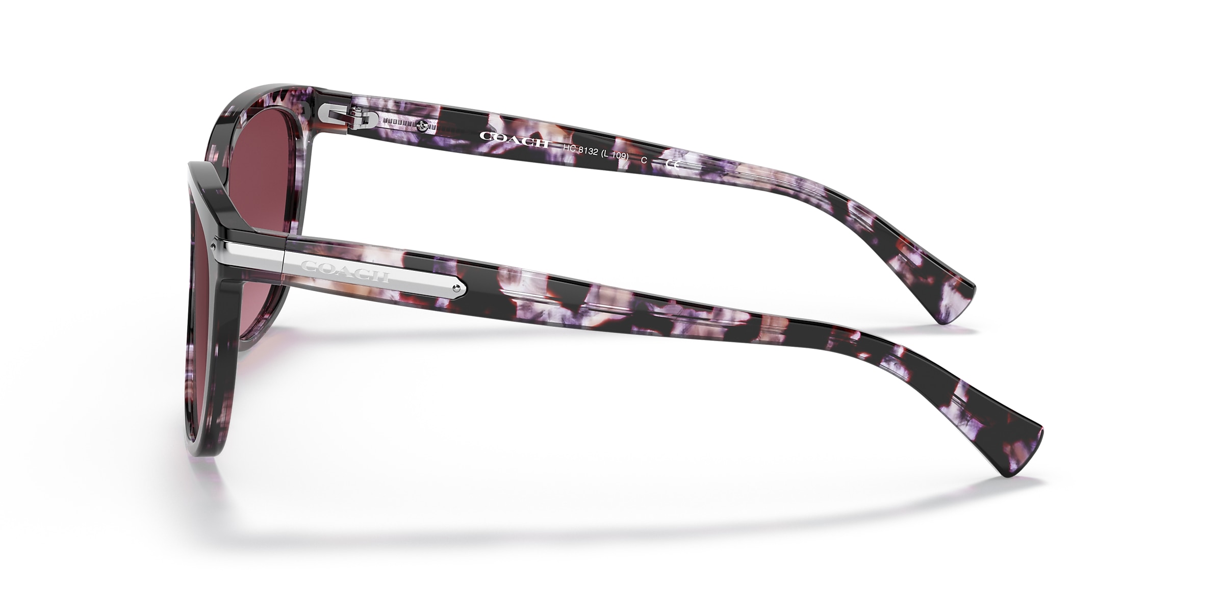 Coach Sunglasses HC8132 L109