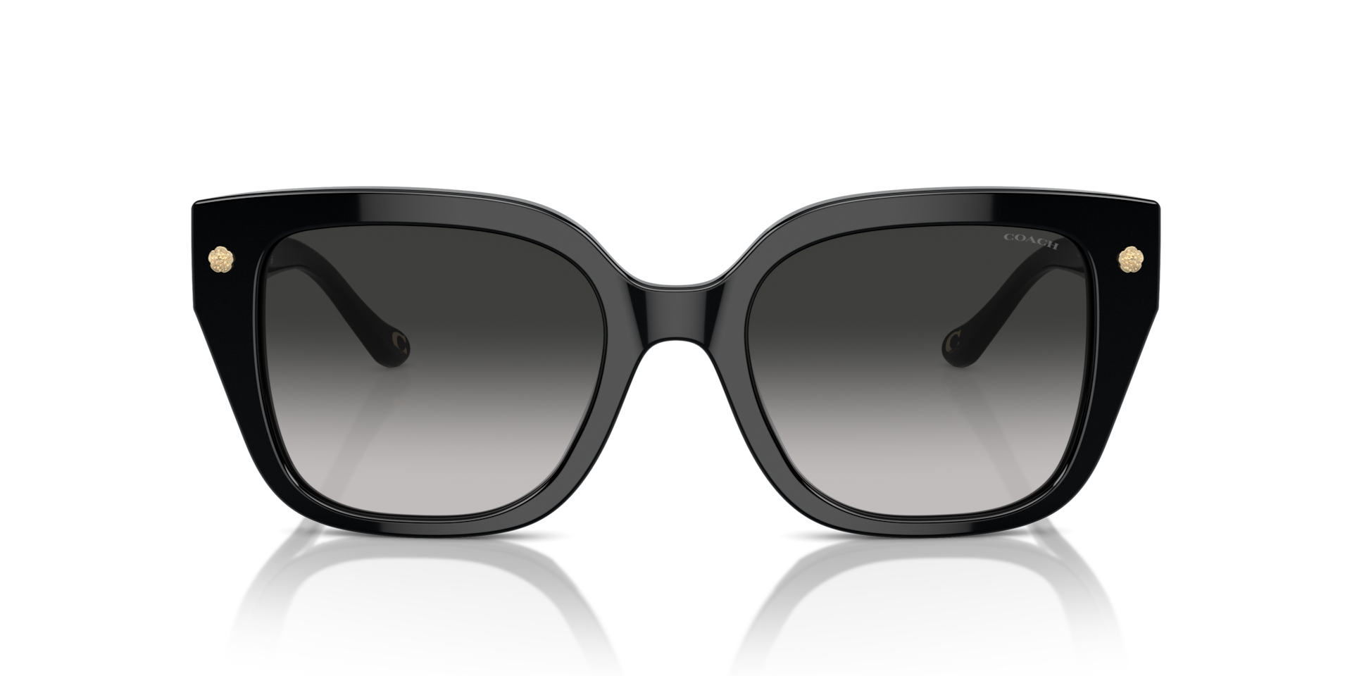 Coach HC8392U CR611 50023C Women’s Sunglasses Black Size 53