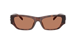 Coach Sunglasses HC8470D CFU16