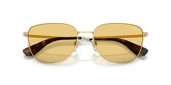 Burberry Sunglasses BE3171