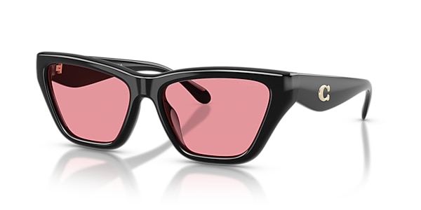 Coach Sunglasses HC8449U CDP33