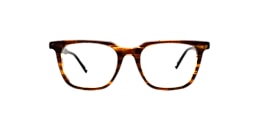 Clearly Glasses WINTHROP