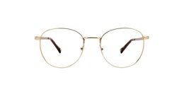 Clearly Glasses HARPALYKE