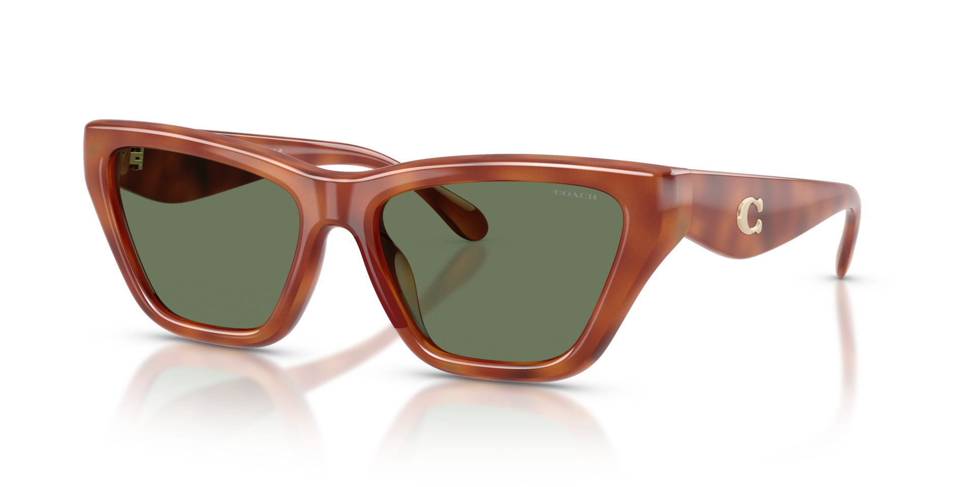 Coach HC8449U CDP33 Sunglasses | Clearly