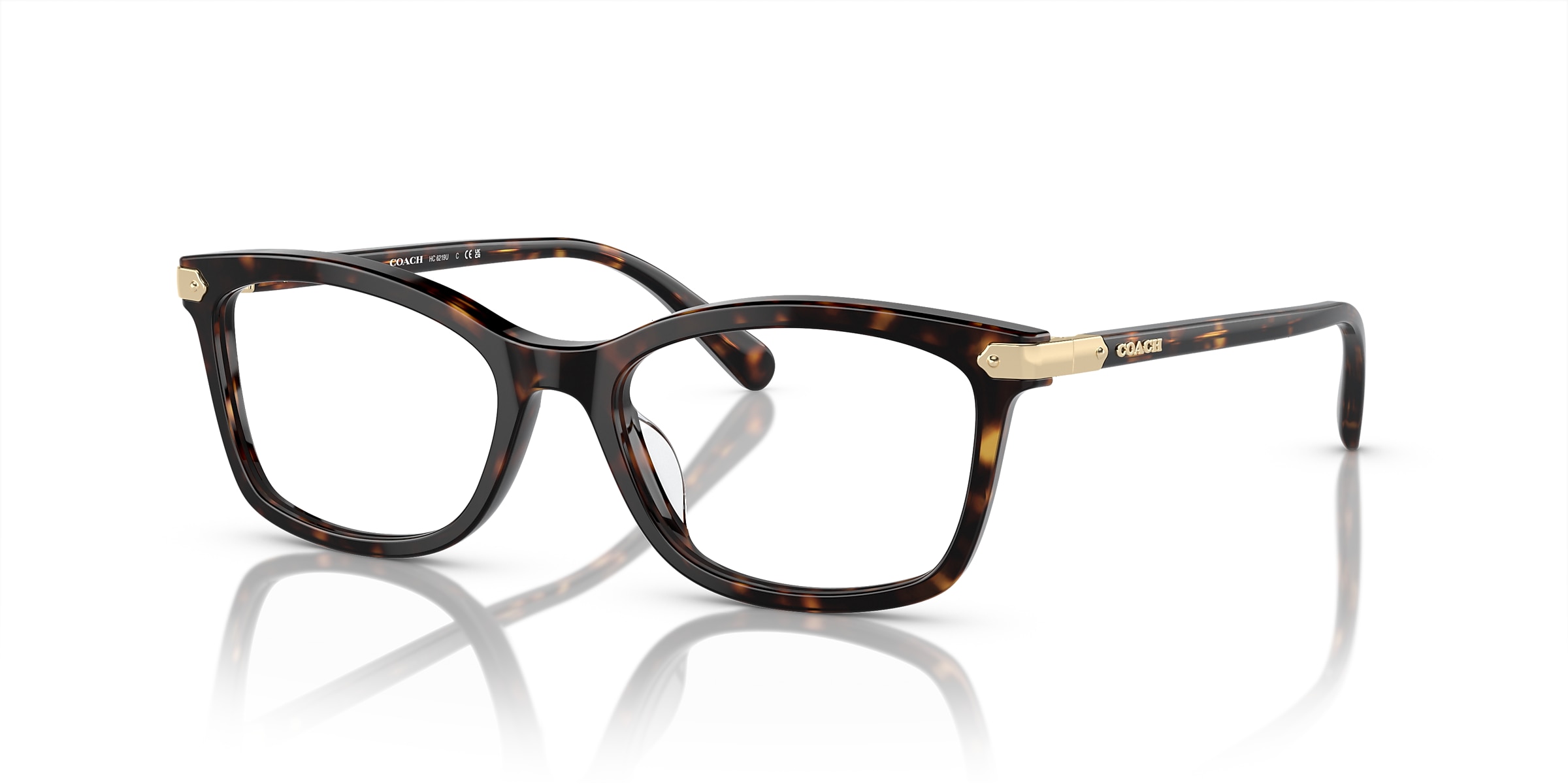 Coach Glasses HC6219U