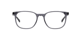 Clearly Glasses CORKTREE