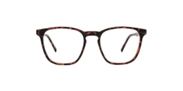 Clearly Glasses PITTA