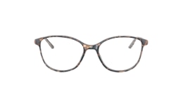 Clearly Glasses CORRIN