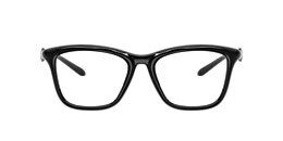 Diesel Glasses DL6004U