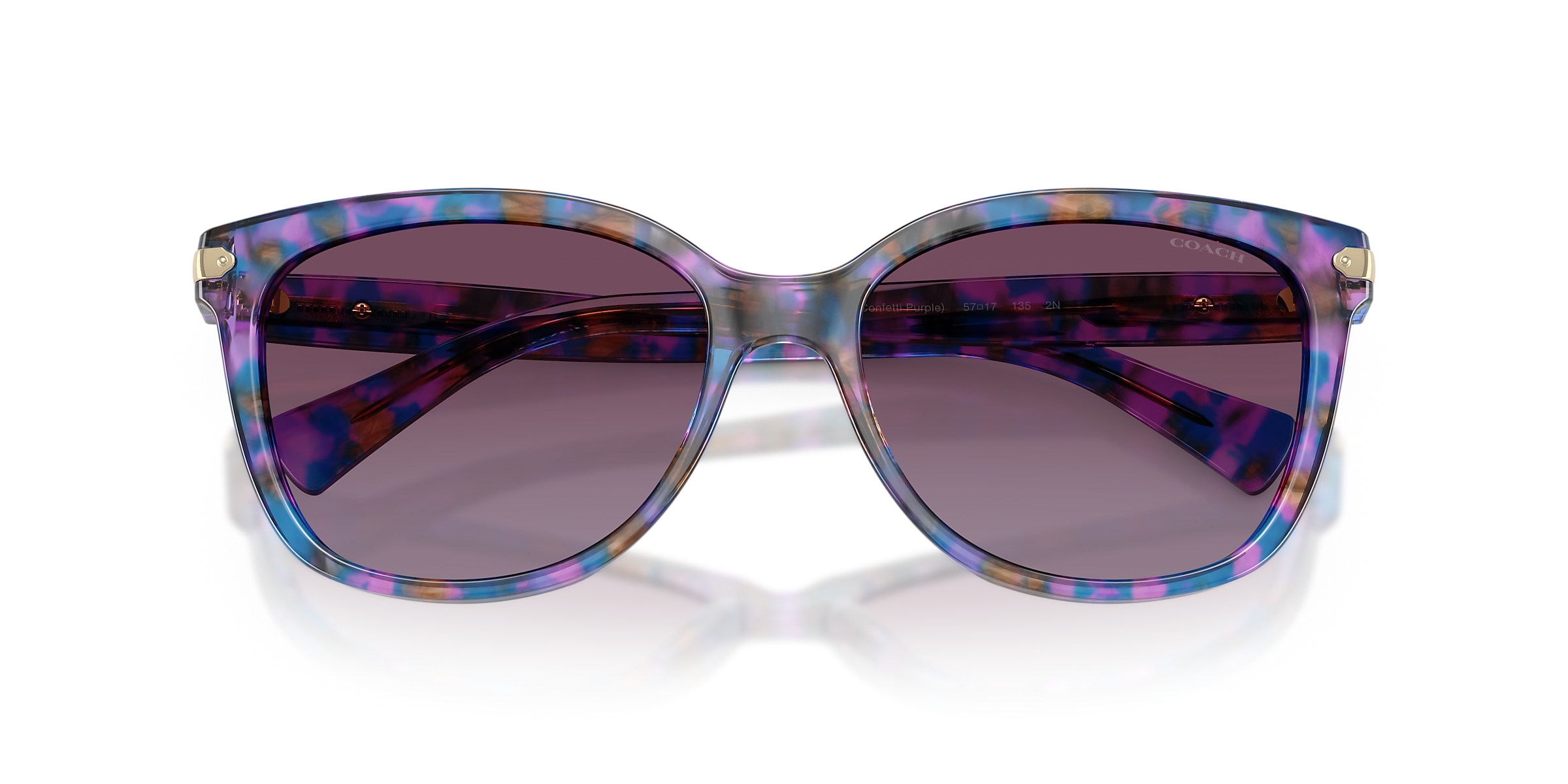Coach Sunglasses HC8132 L109