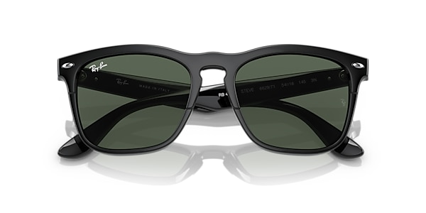 Ray-Ban Sunglasses RB4487 STEVE
