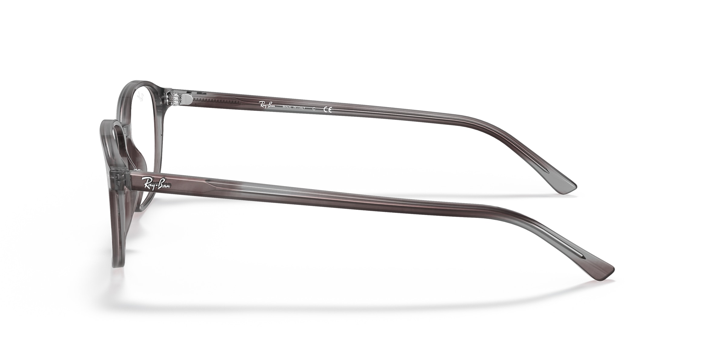 Ray-Ban Glasses RB5393 LEONARD OPTICS