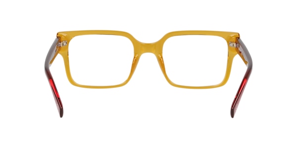 Clearly Glasses ZEST