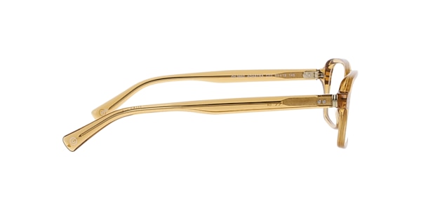 Clearly Glasses ADASTRA