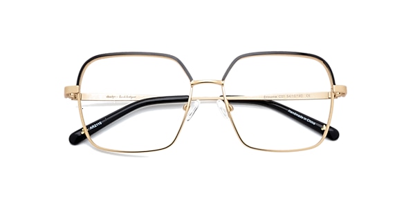 Clearly Glasses ERINOME