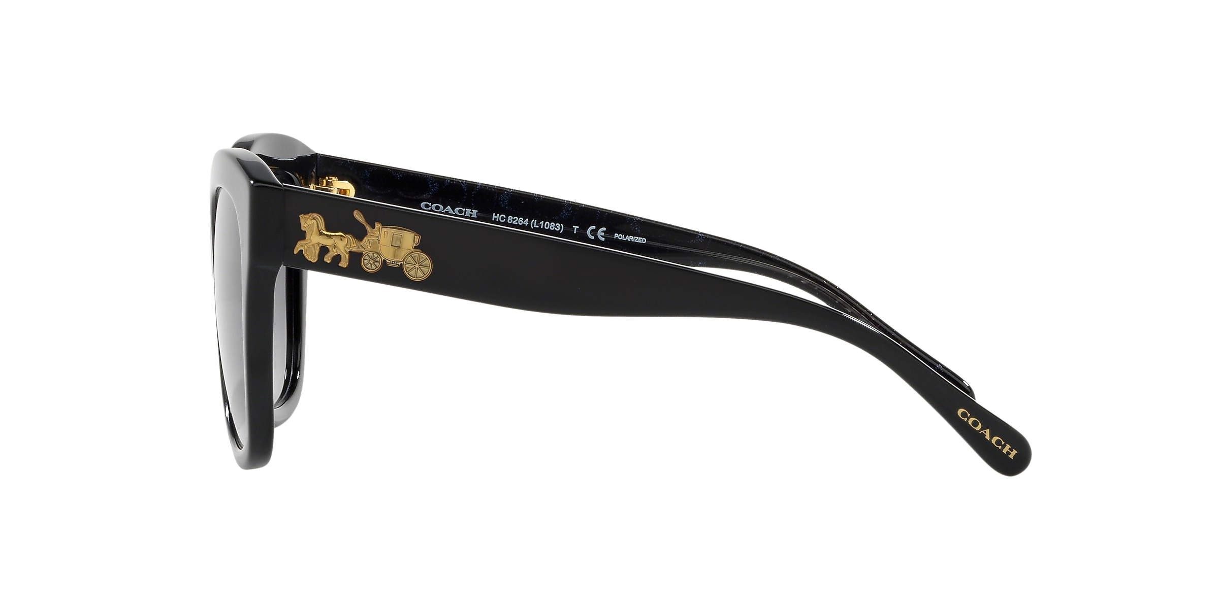 Coach Sunglasses HC8264 L1083