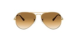 Ray-Ban Sunglasses RB3025 AVIATOR GRADIENT