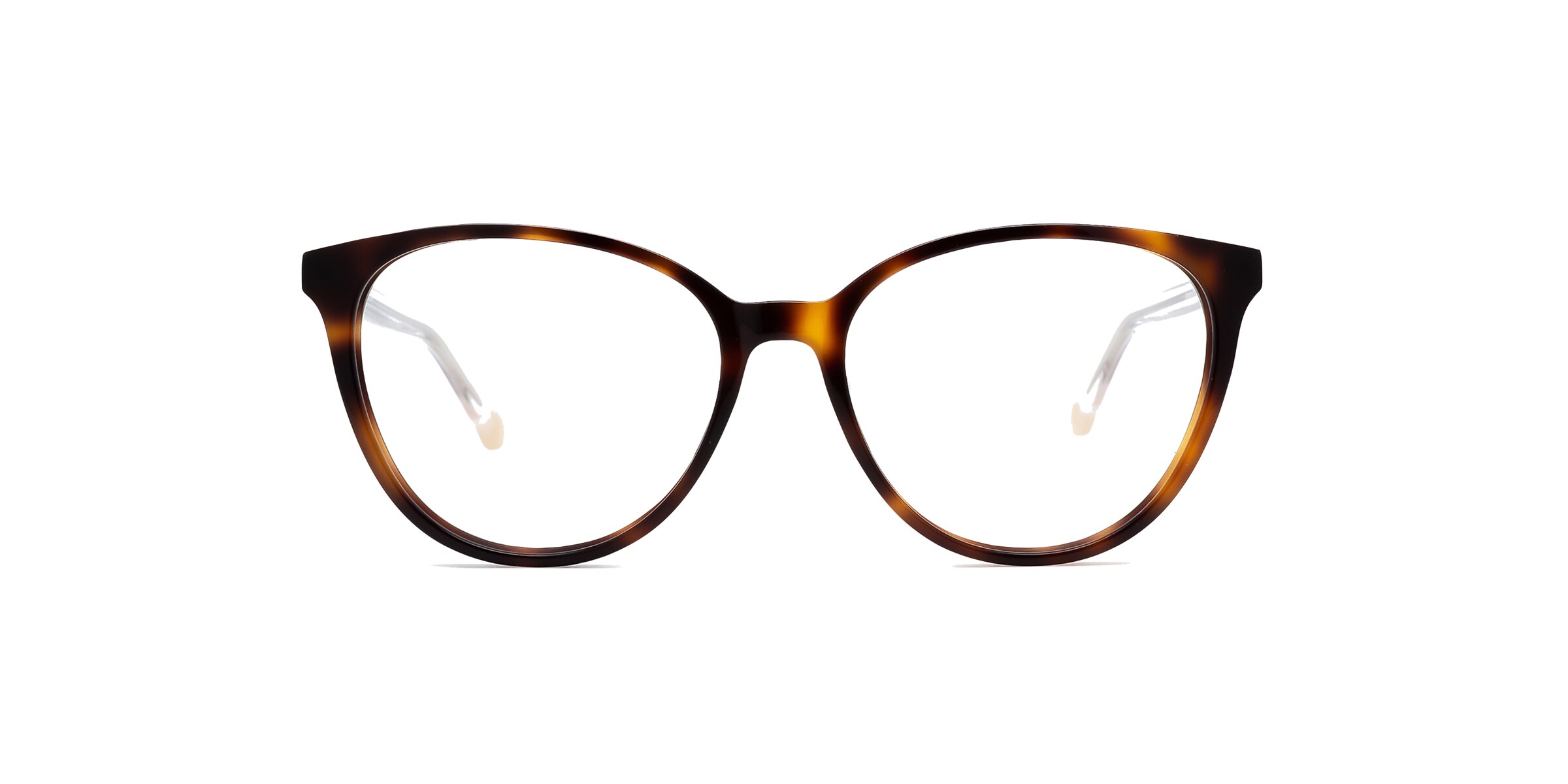 Clearly Glasses SPRUCE