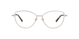 Clearly Glasses BARIUM