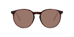 Clearly Sunglasses TELEMAIN