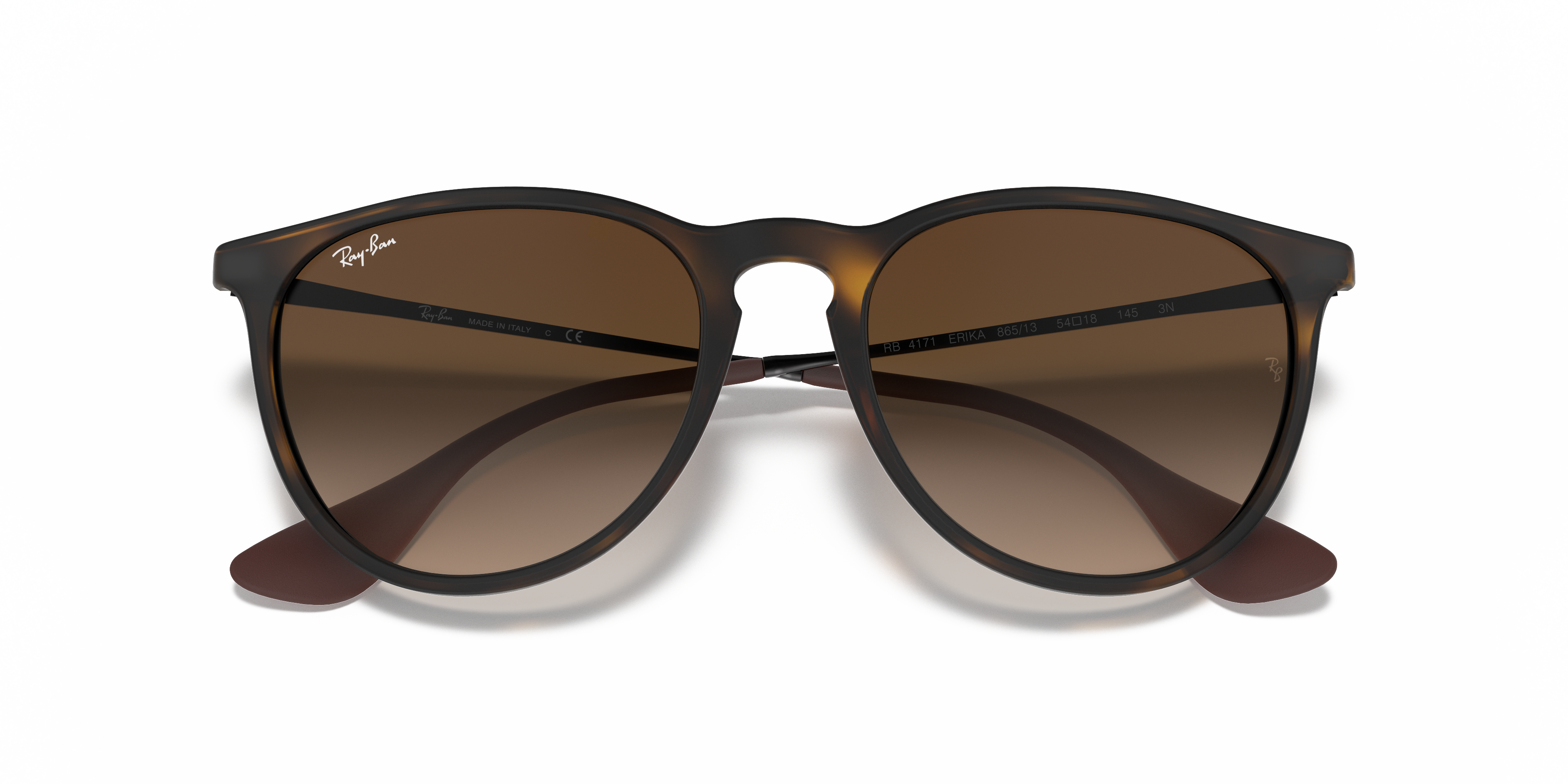 Ray-Ban RB4171 ERIKA CLASSIC Sunglasses | Clearly
